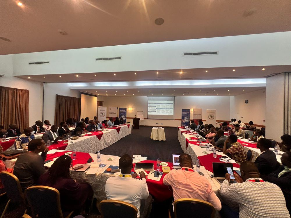 Participants take part in a training workshop